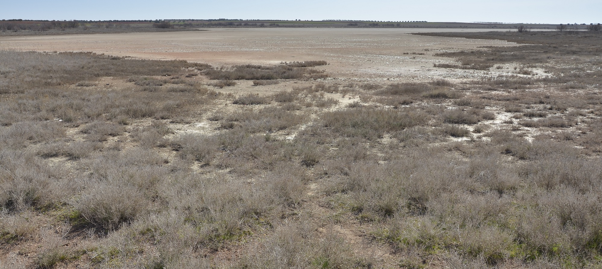 Laguna de la Sal