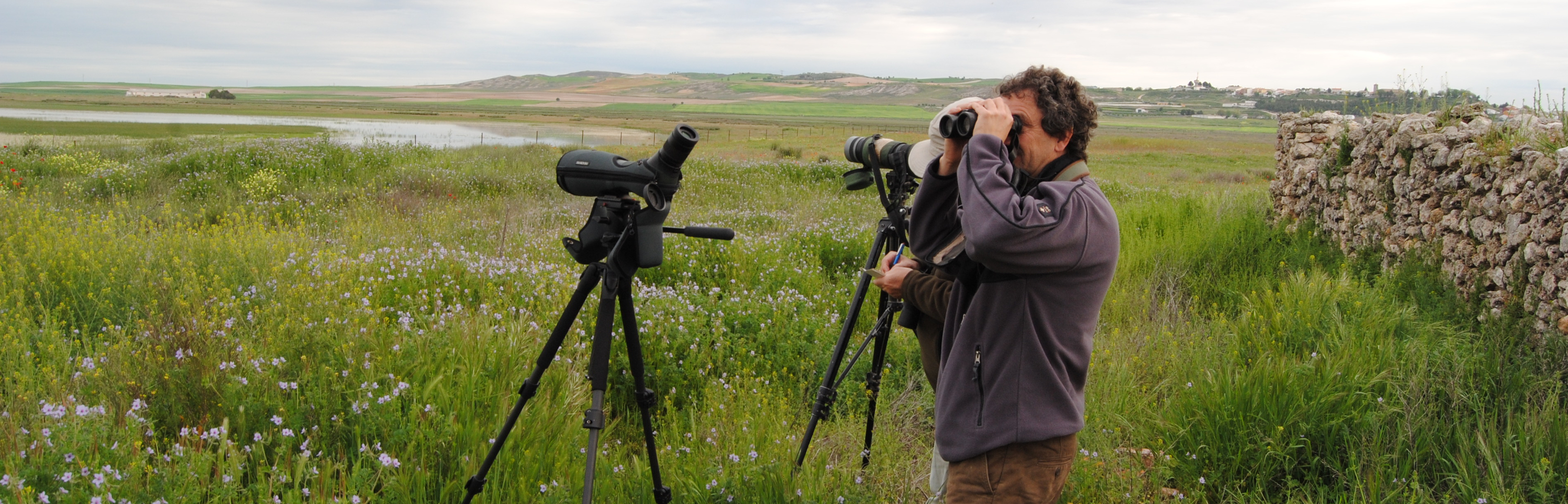 Observando aves en la laguna de El Hito