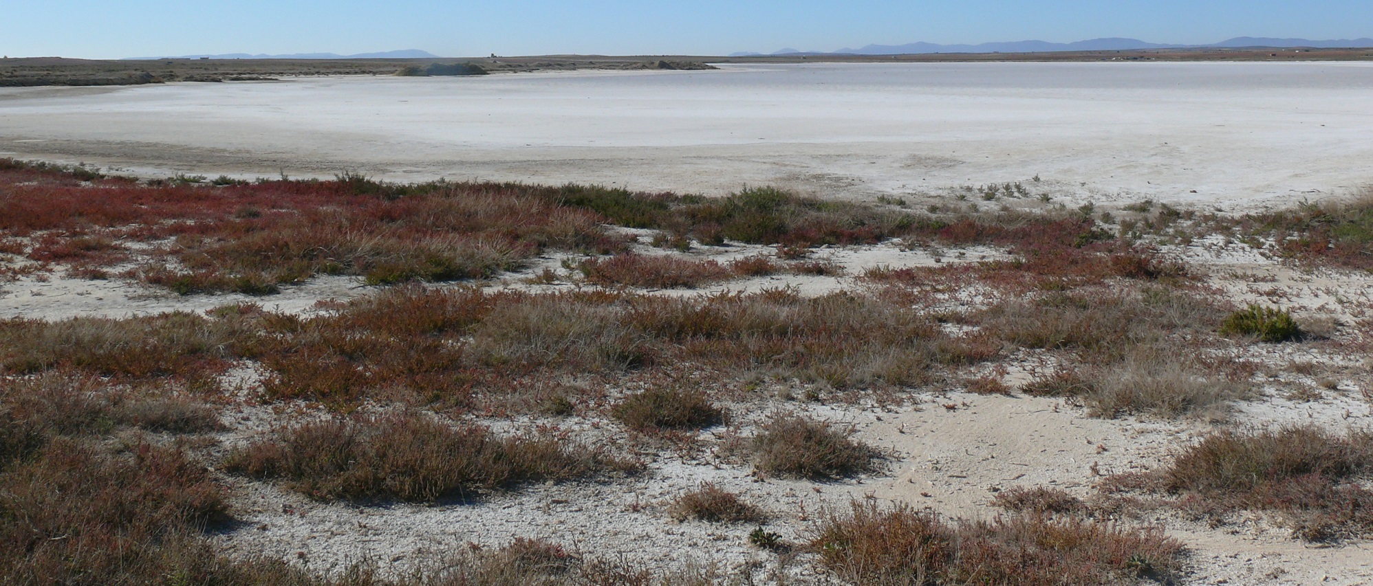 Laguna de Tirez 