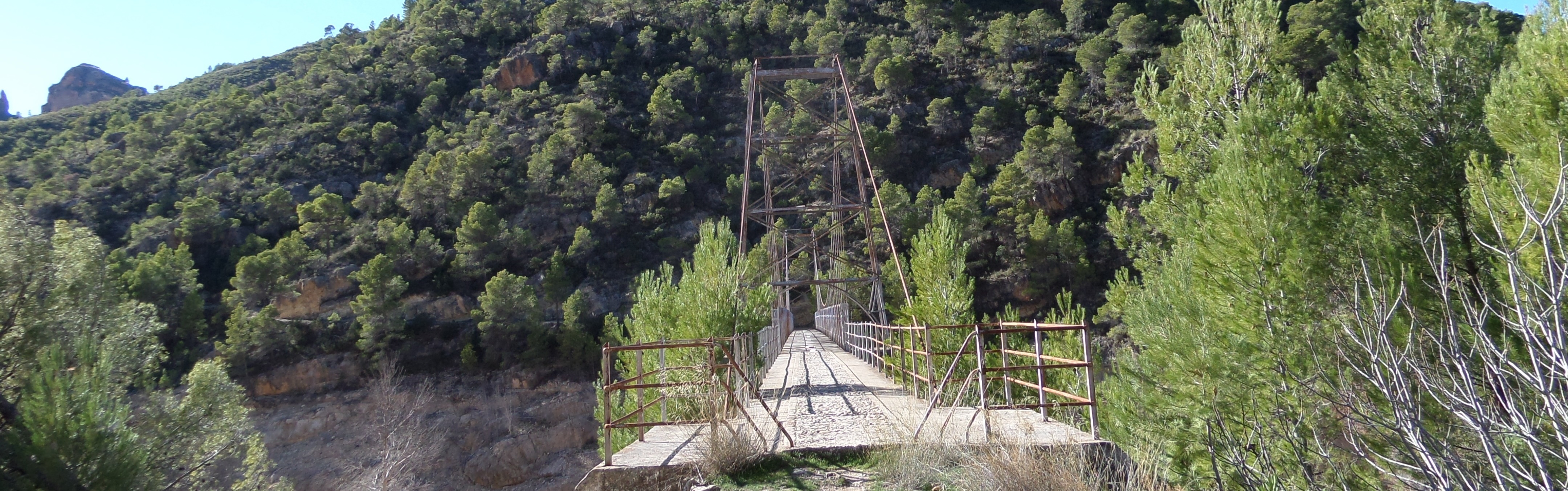 El puente colgante de Tus