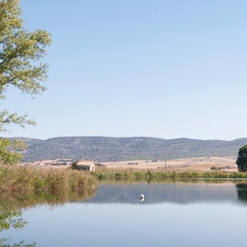 Laguna de los Cedazos o de la Atalaya