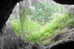 Cueva de los Morciguillos