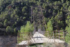 El puente colgante de Tus