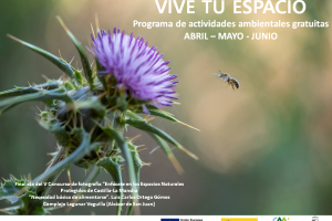 PROGRAMA DE ACTIVIDAD VIVE TU ESPACIO. MESES ABRIL - MAYO - JUNIO