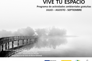 PROGRAMA DE ACTIVIDAD VIVE TU ESPACIO. MESES ABRIL - MAYO - JUNIO